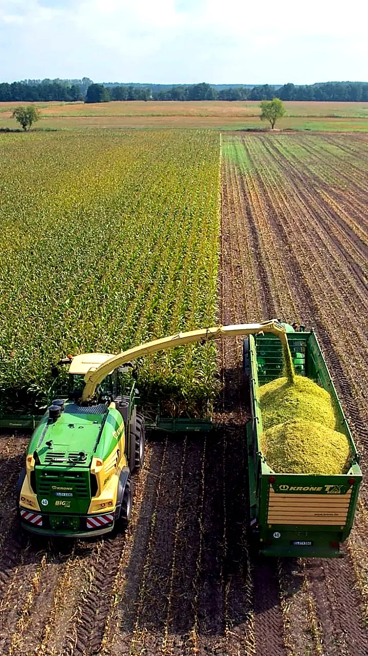 Combine harvesters working in a field