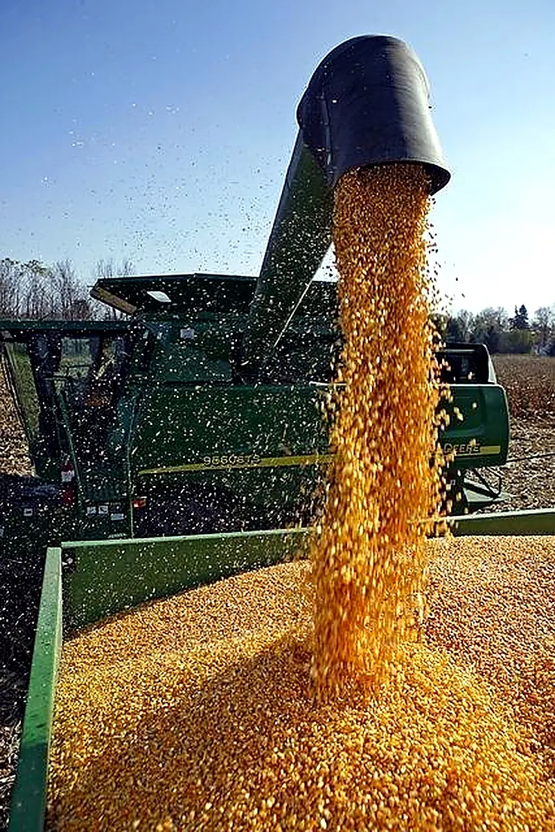 Grain harvest unloading