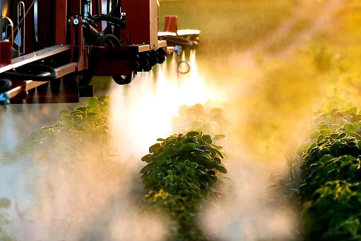 Orchard fogging sprayer