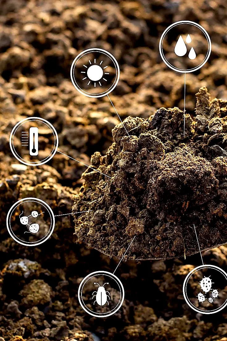 Soil health and nutrient icons
